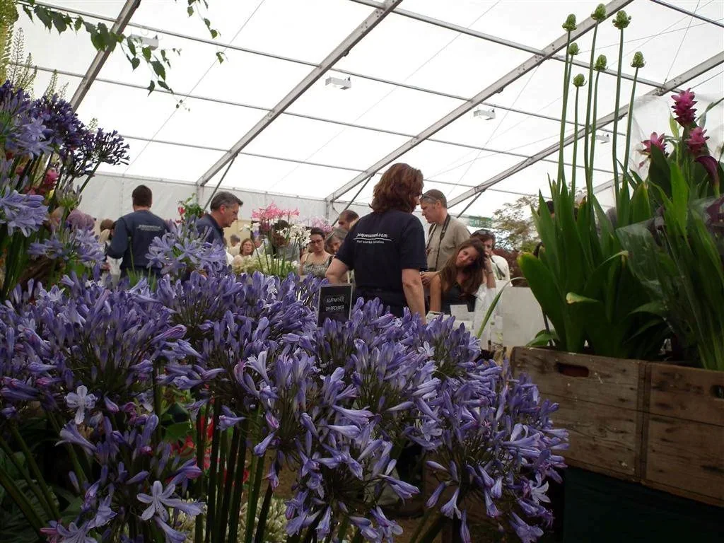 Floral marquee in the long water area 17